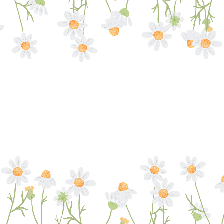 Chamomile Flower Frame
